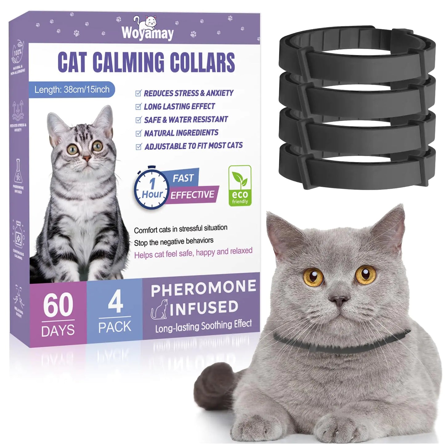 Multi-Sensory Calm Bundle - Cats