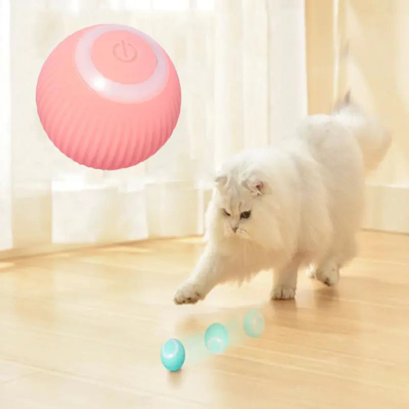 Rolling Cat Ball