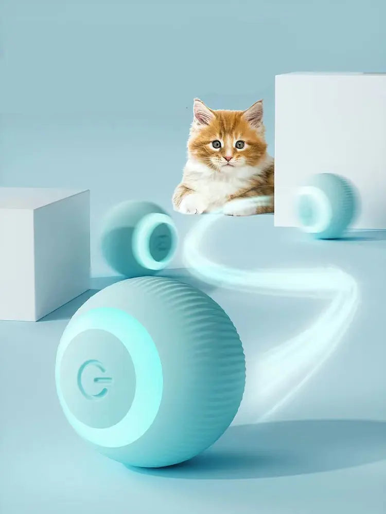 Rolling Cat Ball