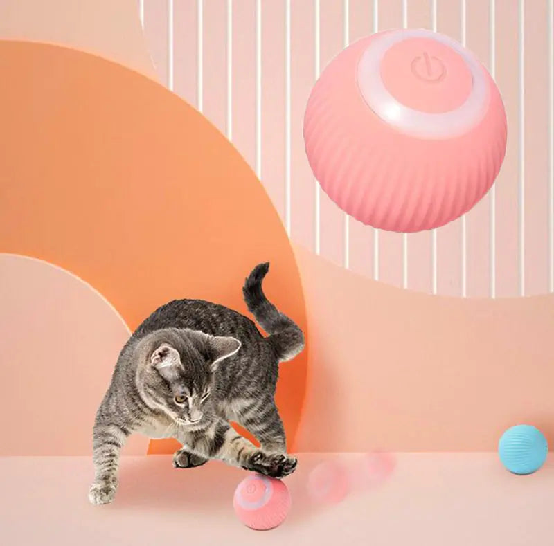 Rolling Cat Ball