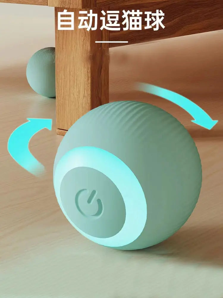 Rolling Cat Ball
